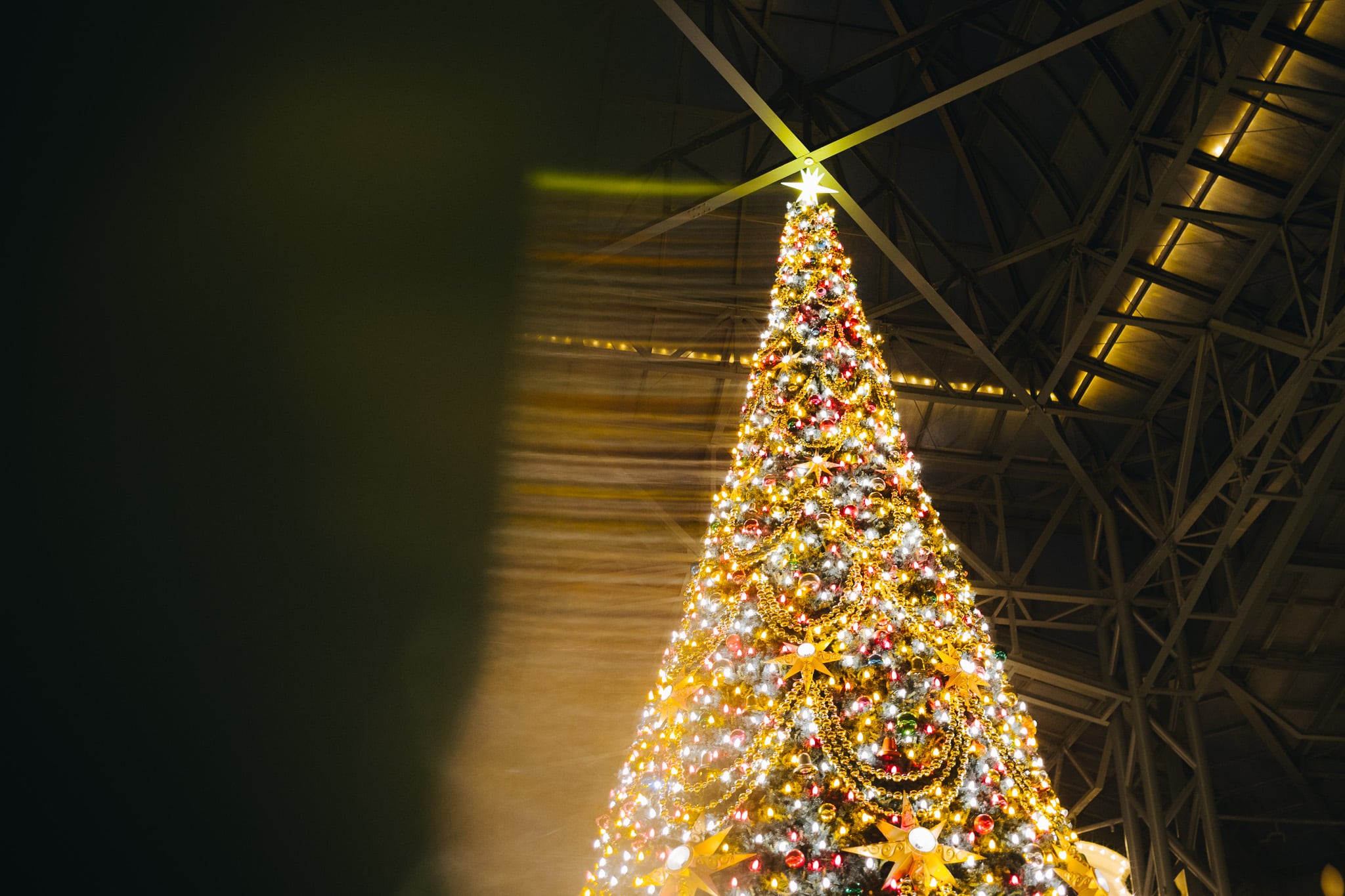 ディズニークリスマス2025