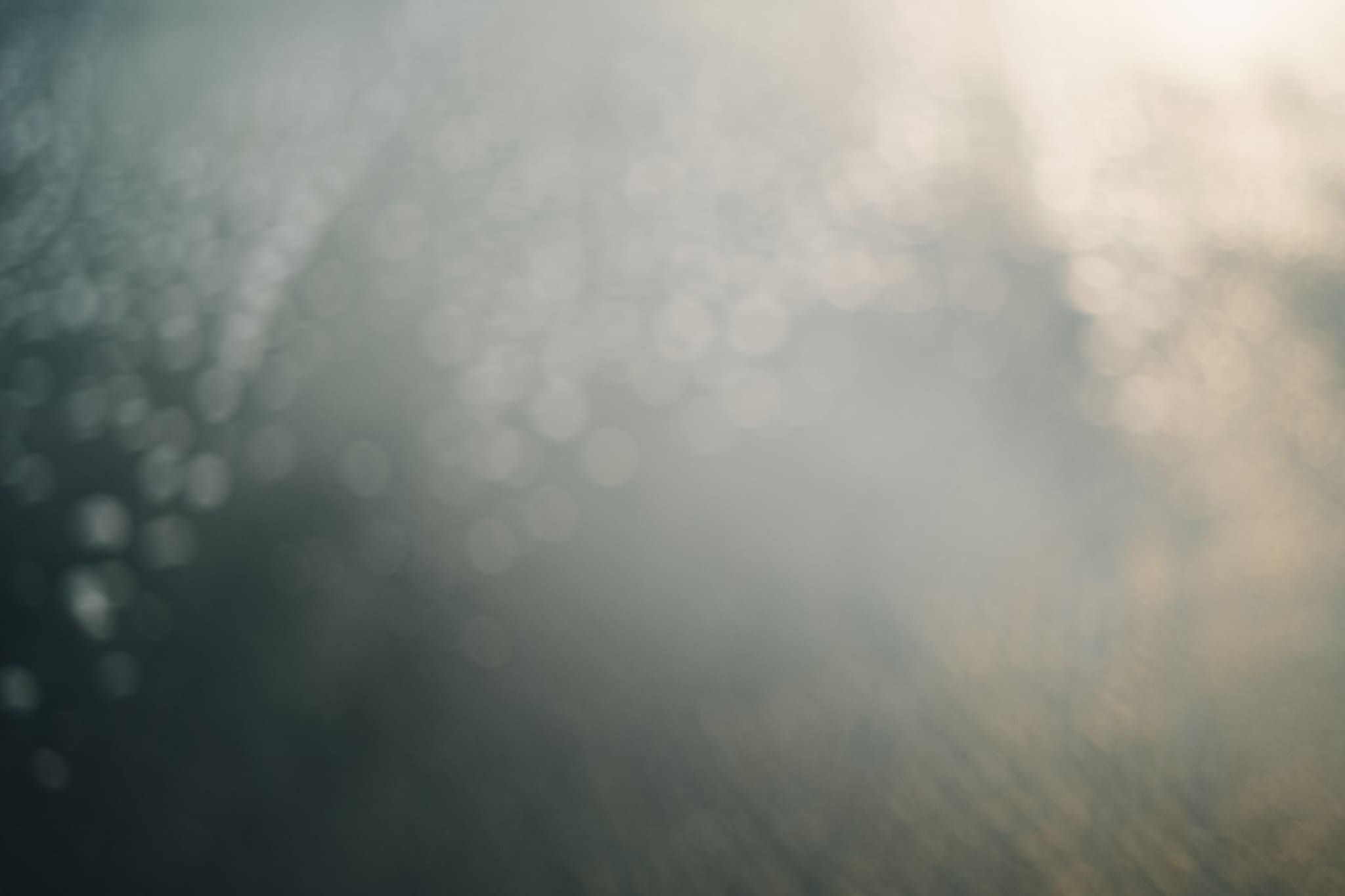 霧雨に包まれた灯り